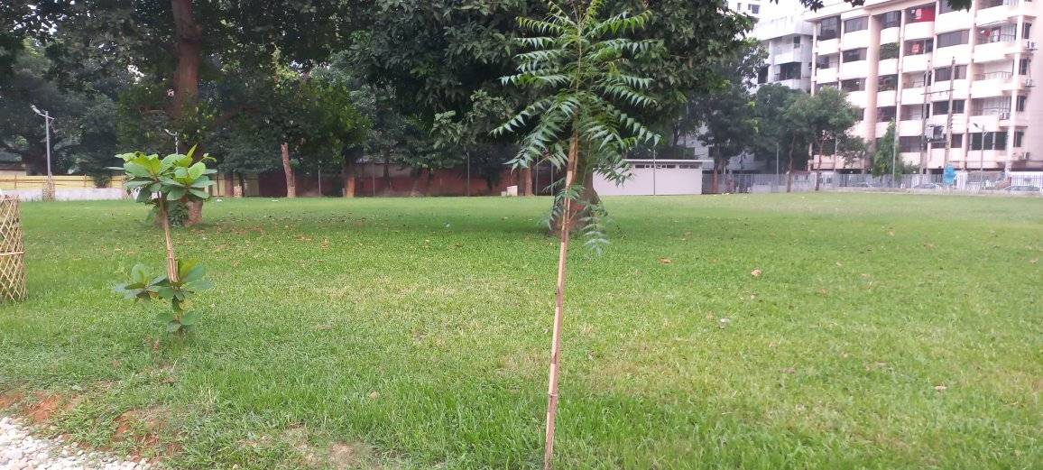 HC asks for park, playground list